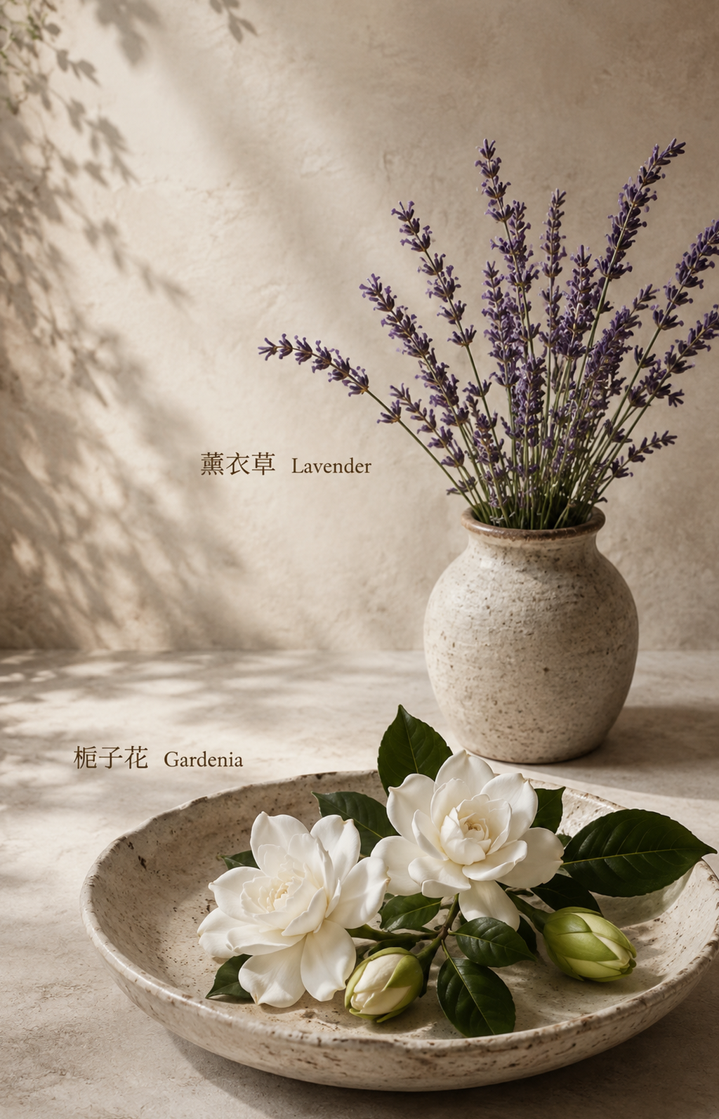 Amber Reverie - Scented Bracelet — botanical illustration