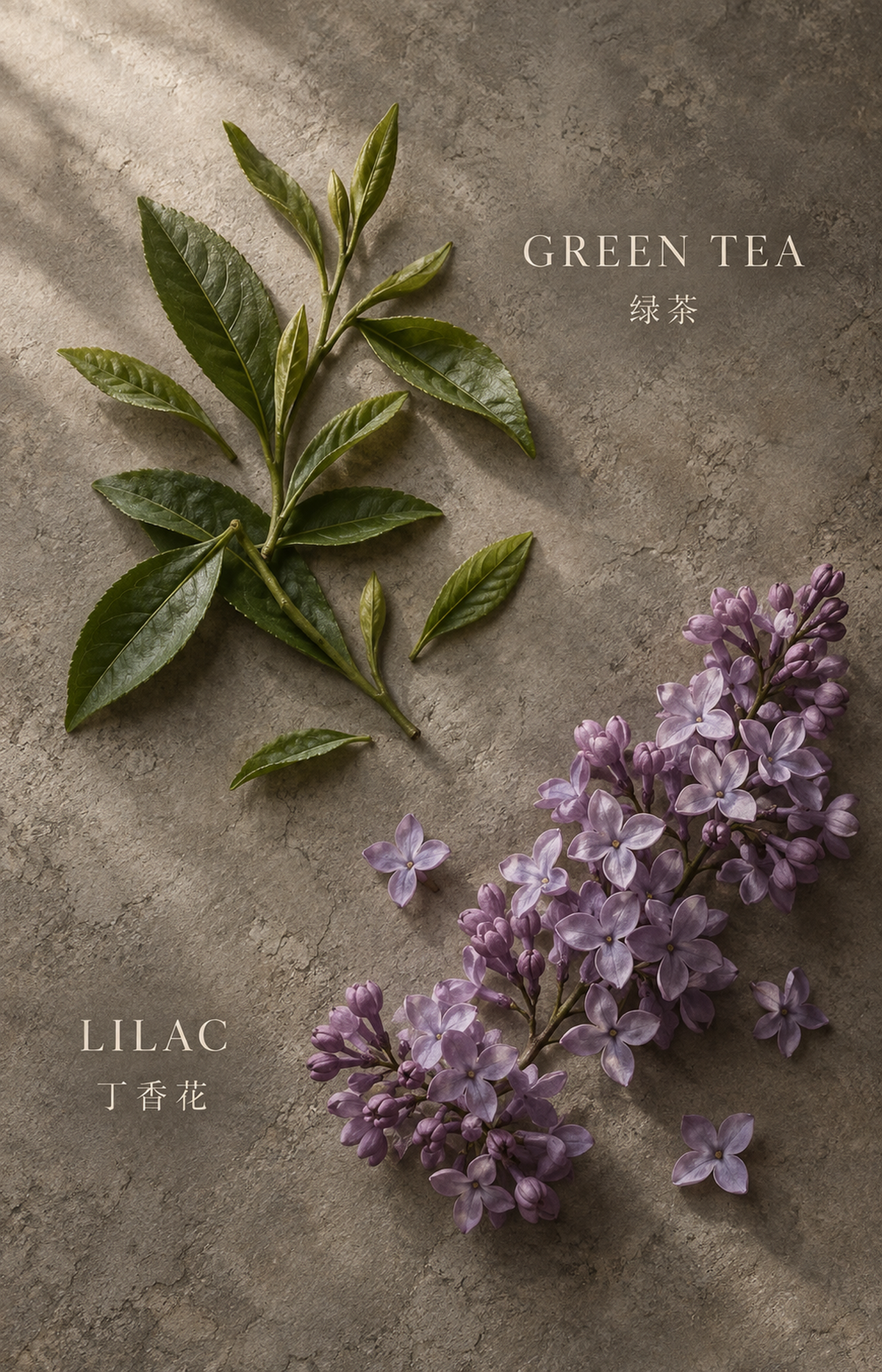 Evening Trail - Scented Bracelet — botanical illustration