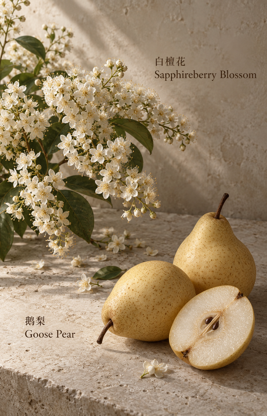 Orchard Quiet - Scented Bracelet — botanical illustration