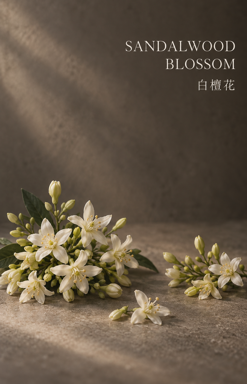 Warm Gatherings - Scented Bracelet — botanical illustration
