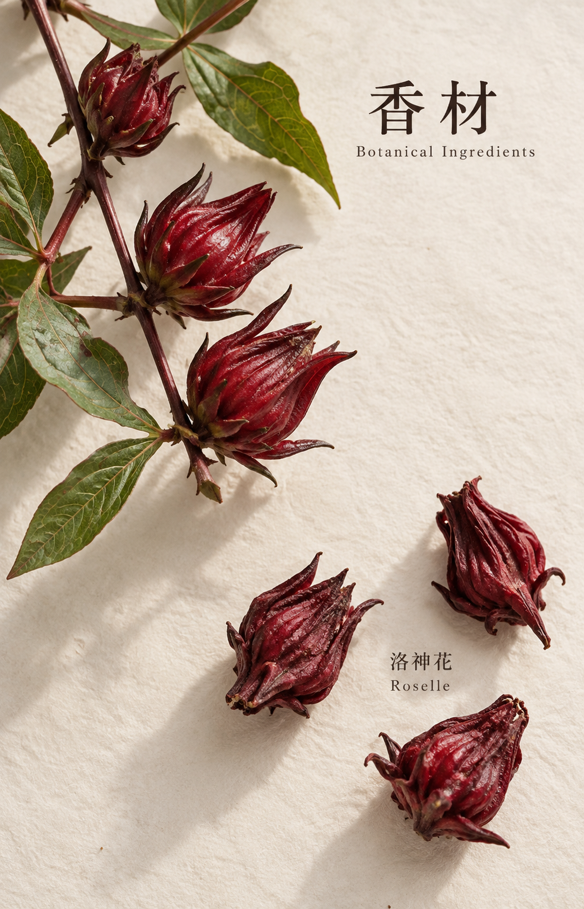 Private Chamber - Scented Bracelet - botanical materials