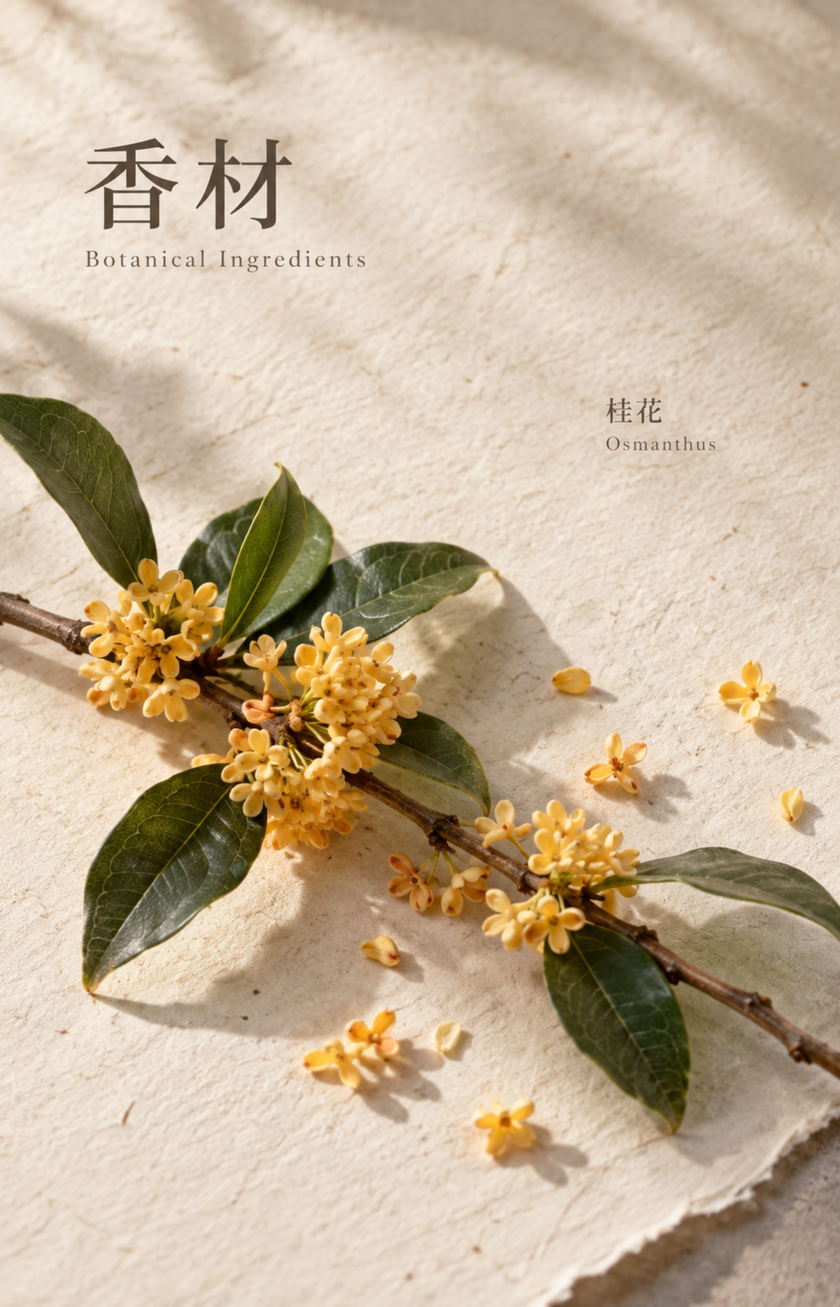 Ripened Sunshine - Scented Bracelet - botanical materials
