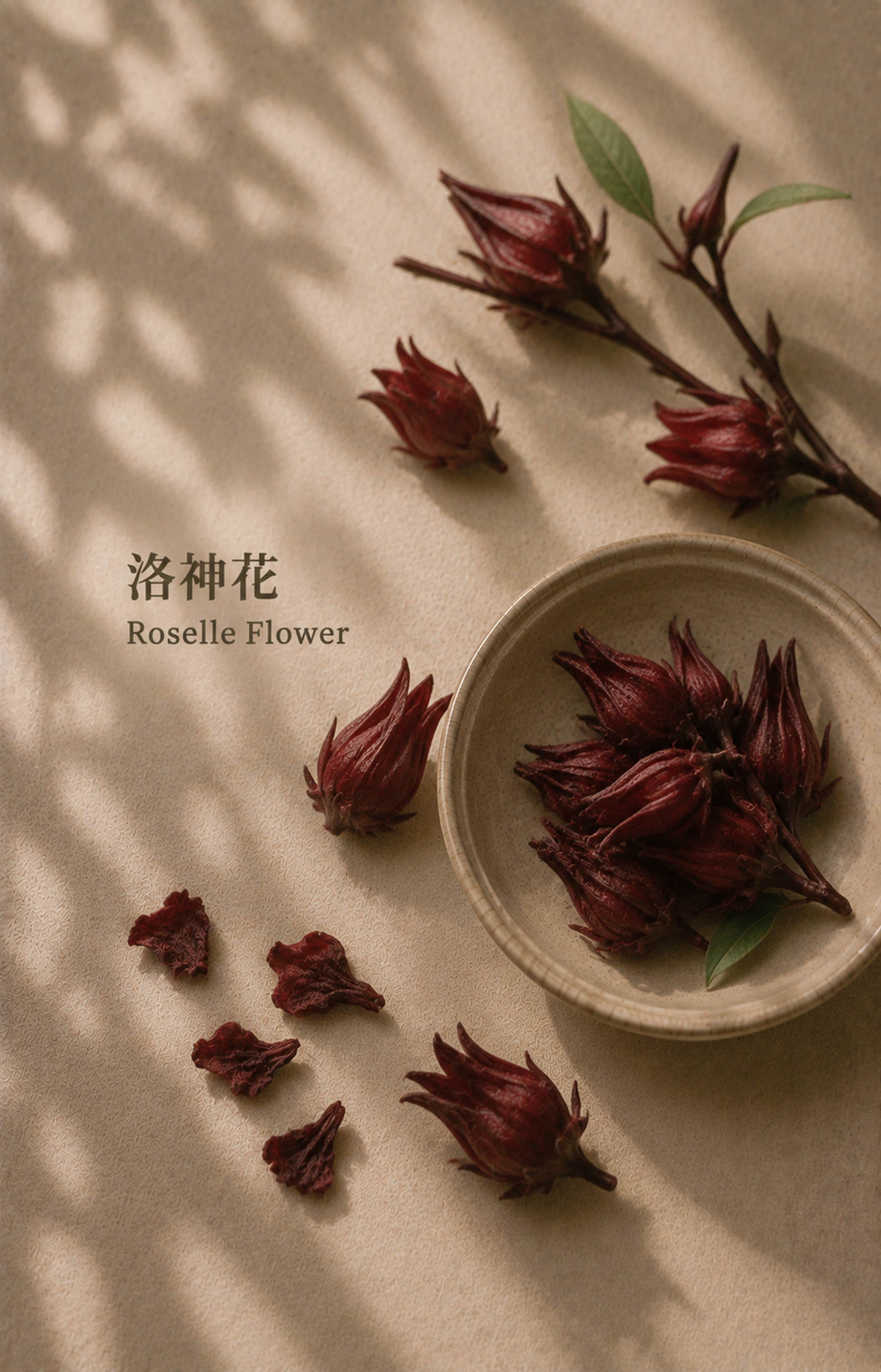 WARM RETURN NUWARIA botanical scent jewelry pl