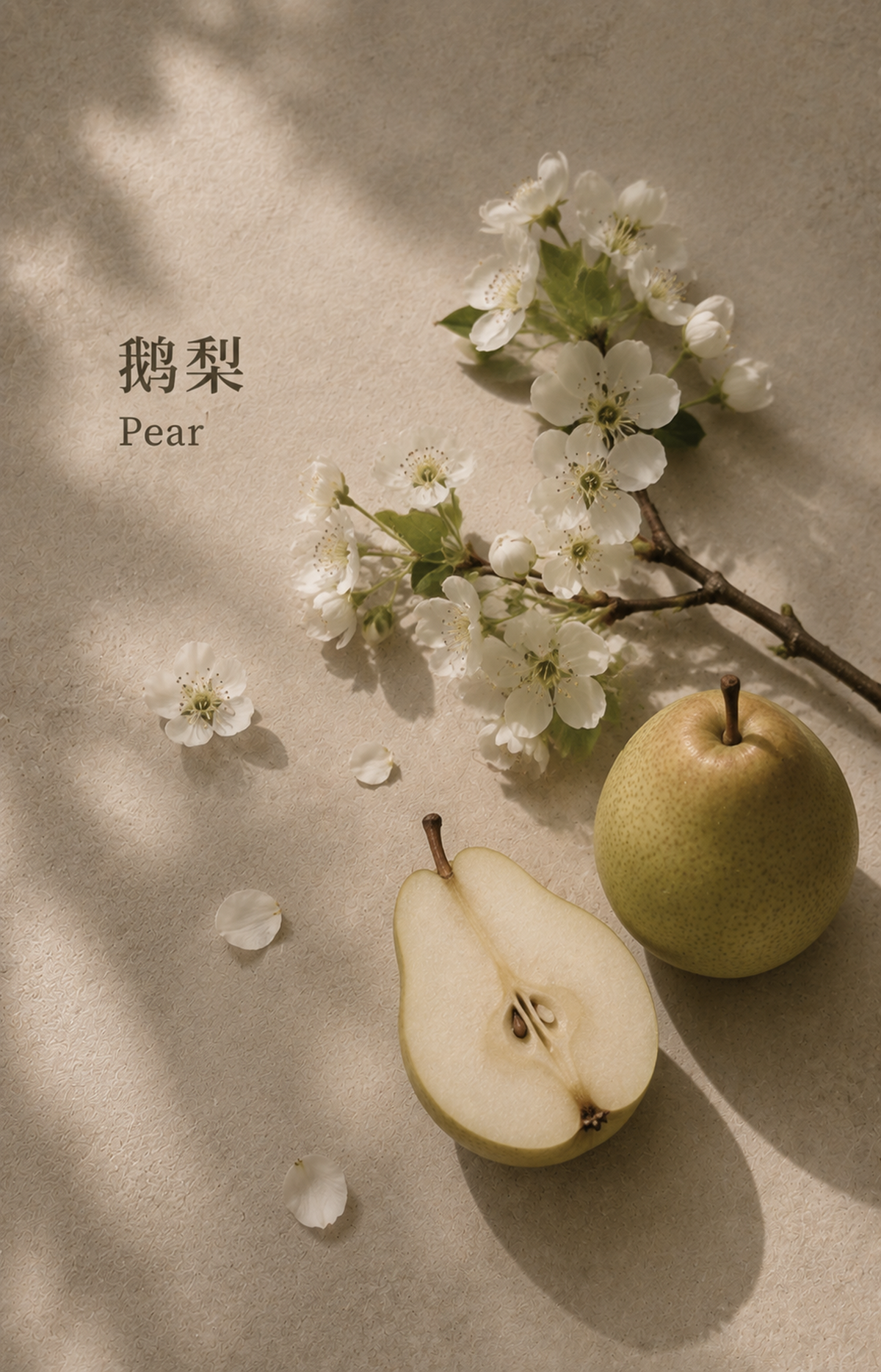 PLENTY NUWARIA botanical scent jewelry pl