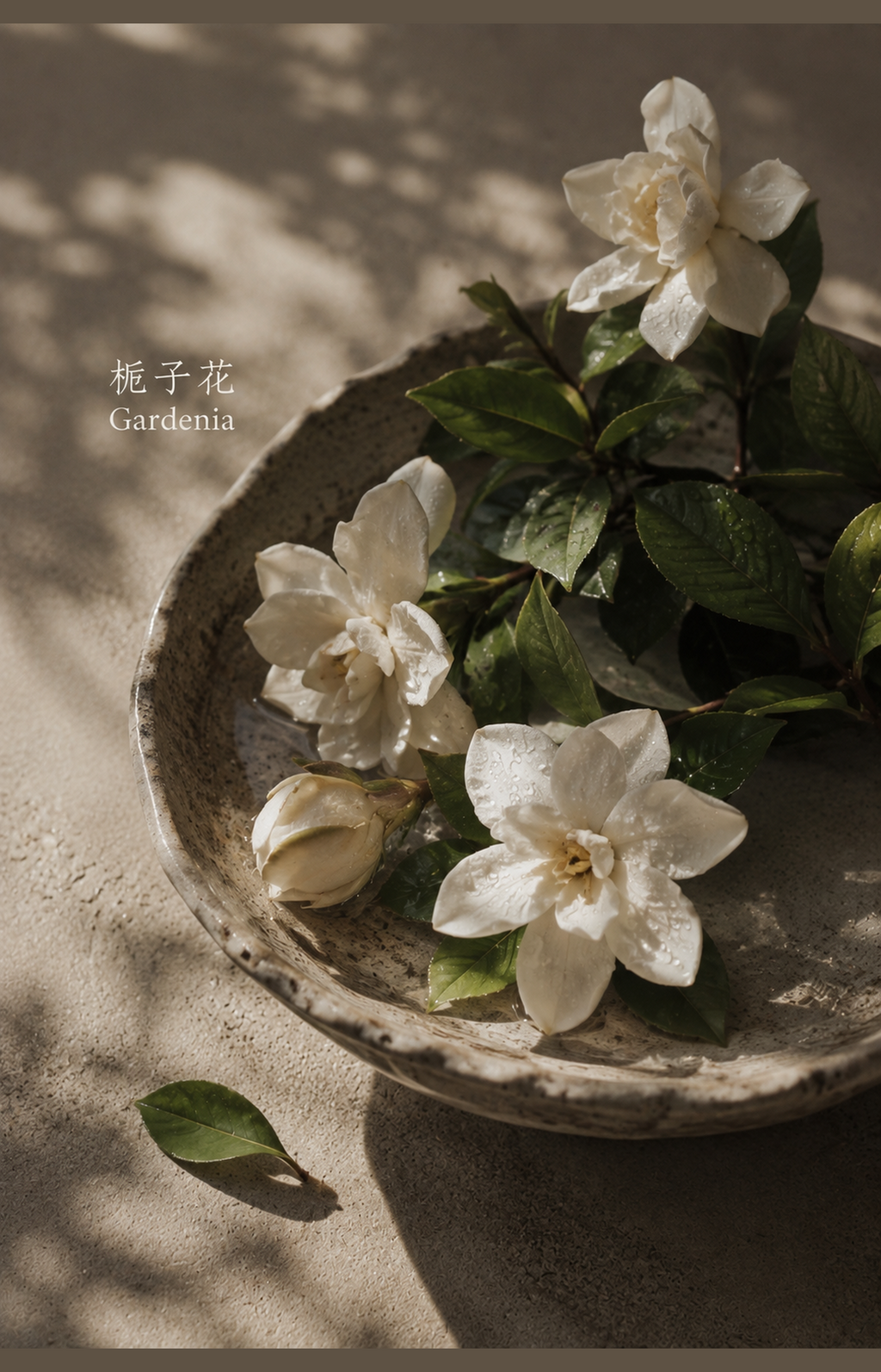 COOL SHADE NUWARIA botanical scent jewelry pl