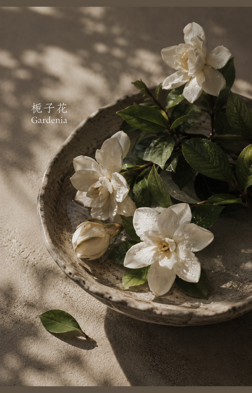 COOL SHADE NUWARIA botanical scent jewelry pl