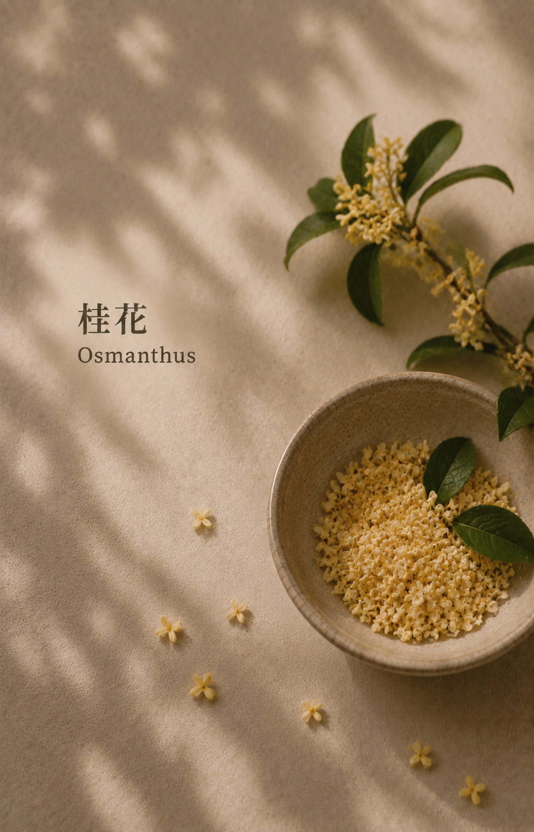 SLOW GOLD NUWARIA botanical scent jewelry pl