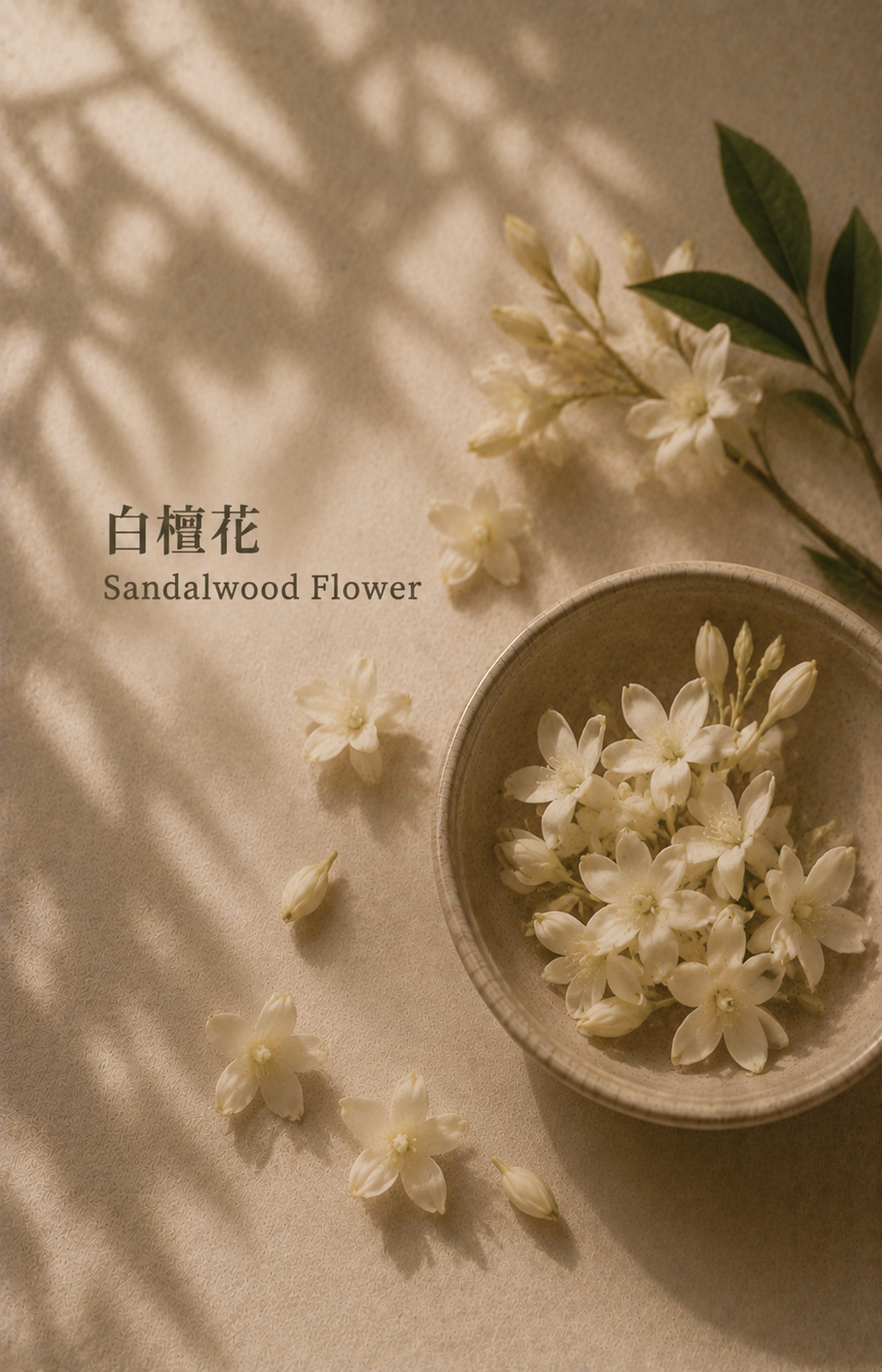 ROOM FOR MORE NUWARIA botanical scent jewelry pl