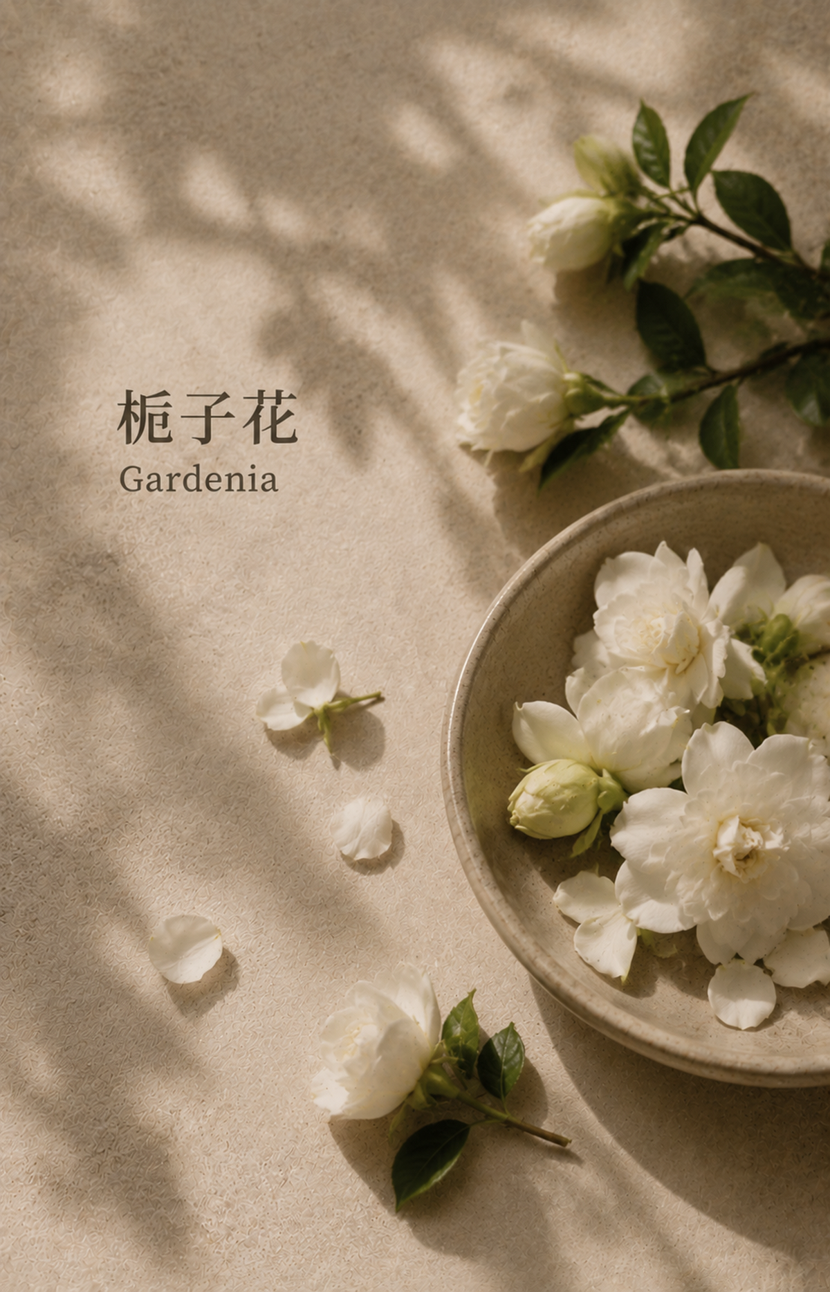 MOON ROOM NUWARIA botanical scent jewelry pl