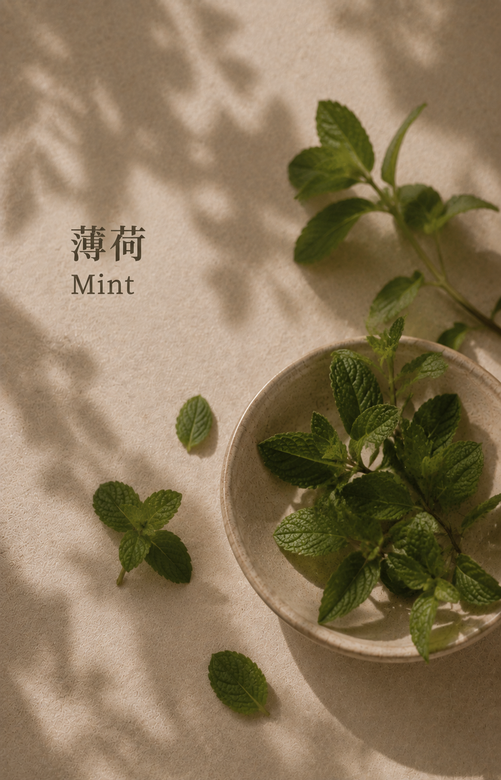 BENEATH THE LEAVES NUWARIA botanical scent jewelry pl