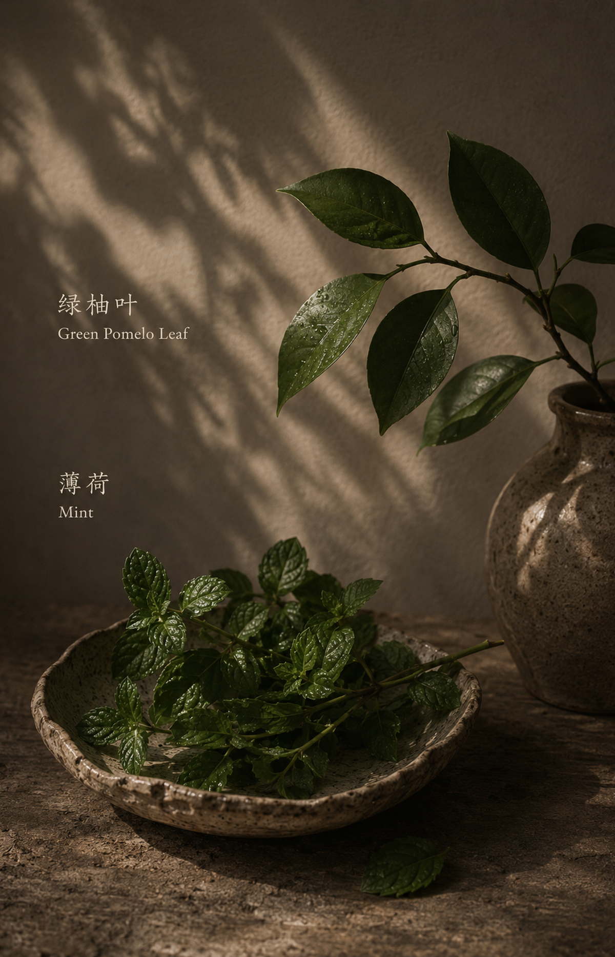 FRESH TURN NUWARIA botanical scent jewelry pl