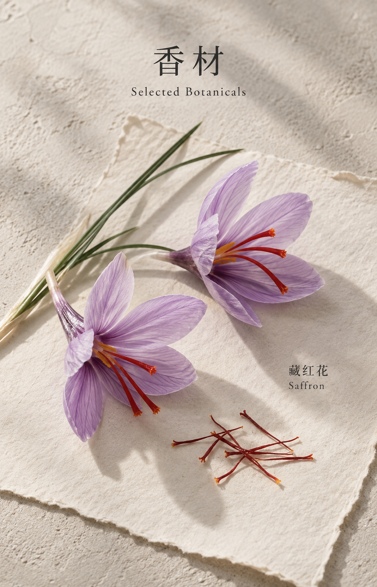 Silk Road - Scented Bracelet - selected botanicals: 藏红花 / Saffron