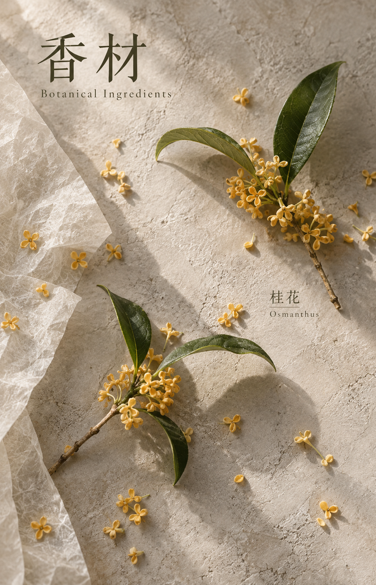 The Gleaners - Scented Bracelet - botanical materials