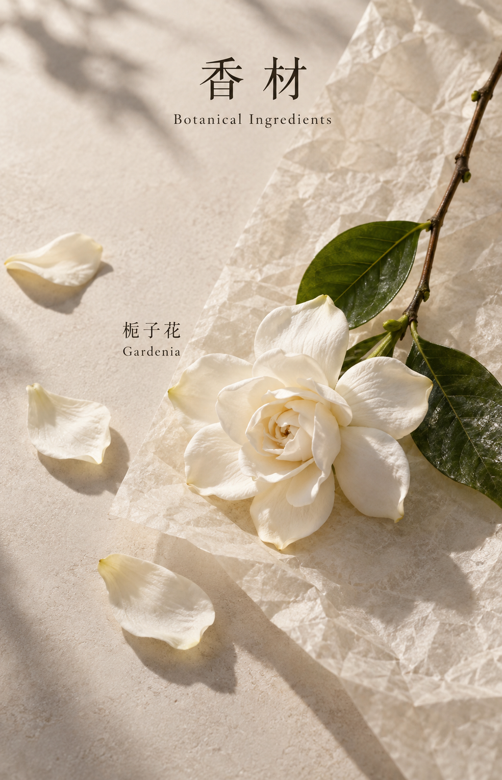 The Sundial - Scented Bracelet - botanical materials
